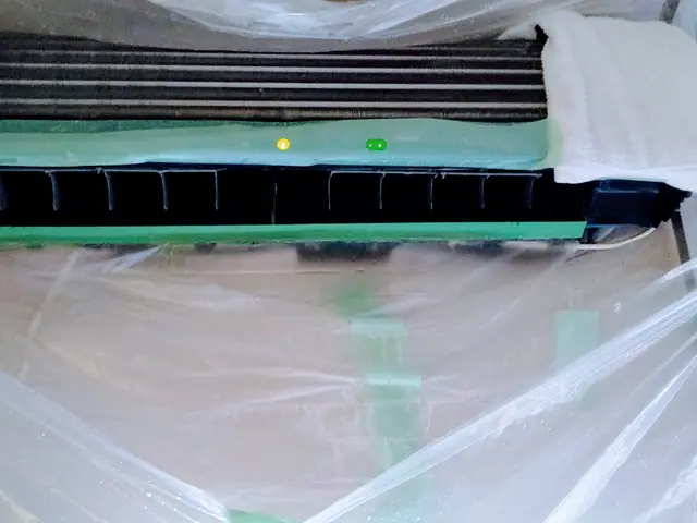 『壁掛け式エアコンはおそうじ機能無しに限定』即刻カビ退治!抗菌コート別途3千円サービスの画像