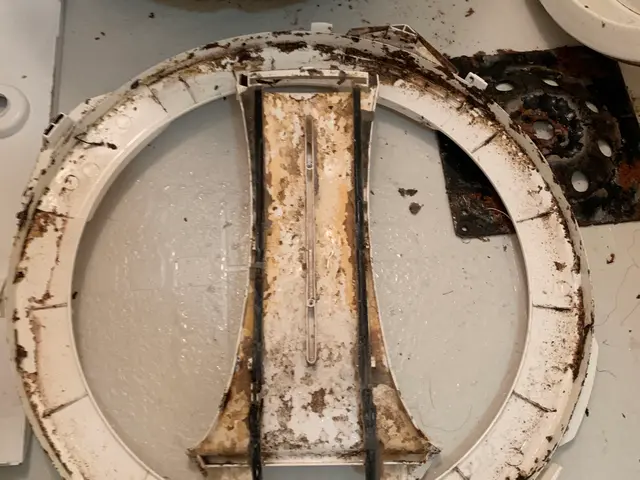 ＜分解洗浄＞☆ビートウォッシュも同一料金サービスの画像