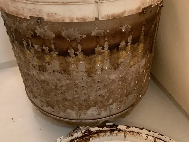 ＜分解洗浄＞☆ビートウォッシュも同一料金サービスの画像