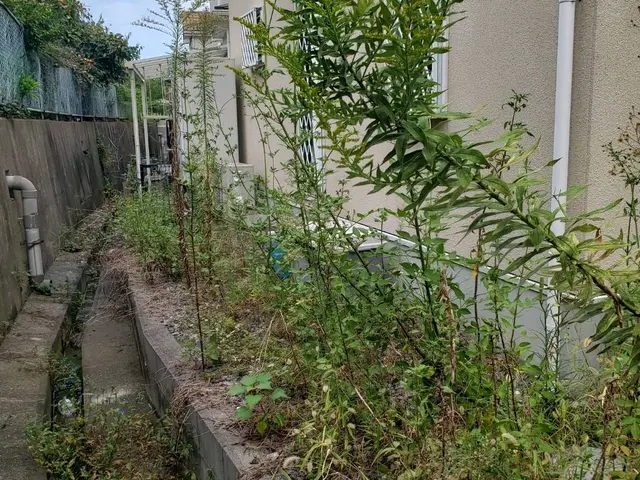 ☆豊かな緑のお庭を☆豊緑園にお任せ下さい！ご自宅以外も対応致します！サービスの画像