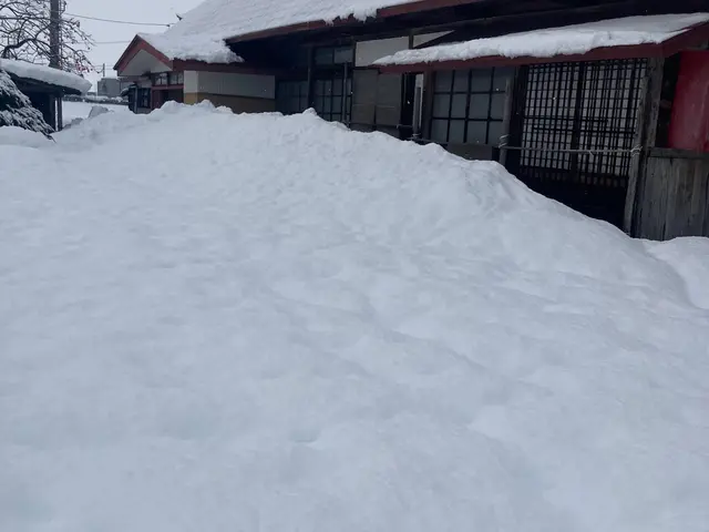 【年間実績100件以上】★除雪•雪下ろし年中無休で対応します★サービスの画像