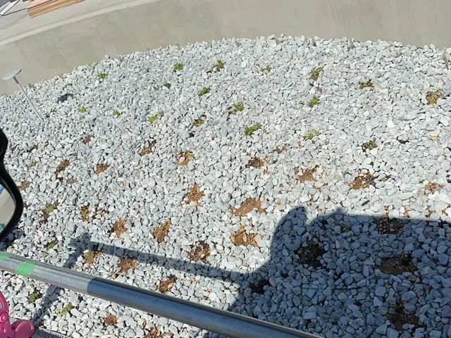 【２月出店】大手経験者による確かな技術！スピーディーで丁寧な砂利敷きサービスサービスの画像