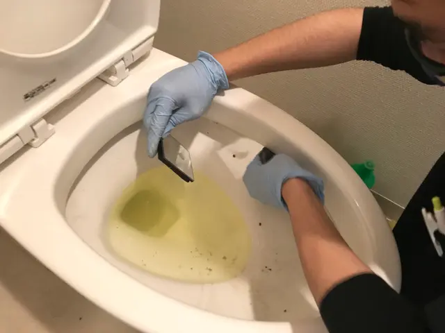 横浜市発◎普段のトイレお掃除では取りきれない汚れ、お任せください！サービスの画像