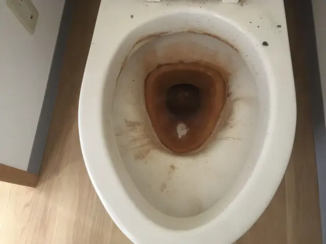 横浜市発◎普段のトイレお掃除では取りきれない汚れ、お任せください！サービスの画像