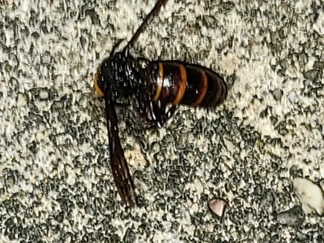 【豊富な経験・実績あり】損害保険加入済み◎営業時間外・対応地域外でもご要望可能！サービスの画像