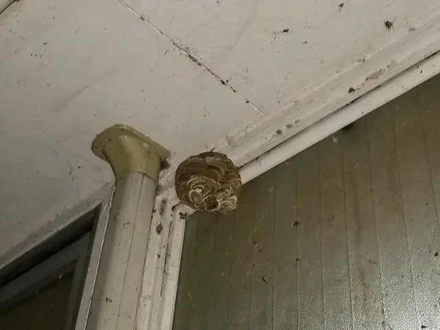 【豊富な経験・実績あり】損害保険加入済み◎営業時間外・対応地域外でもご要望可能！サービスの画像