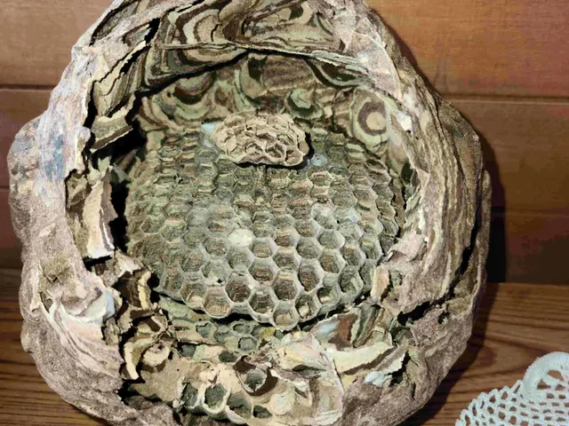 【豊富な経験・実績あり】損害保険加入済み◎営業時間外・対応地域外でもご要望可能！サービスの画像