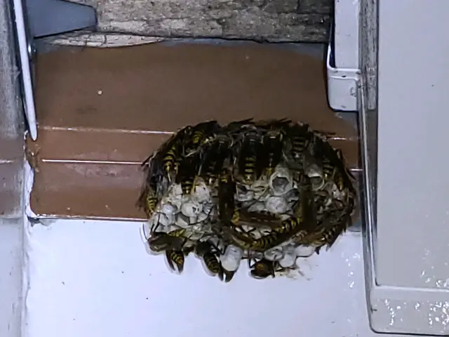 【豊富な経験・実績あり】損害保険加入済み◎営業時間外・対応地域外でもご要望可能！サービスの画像