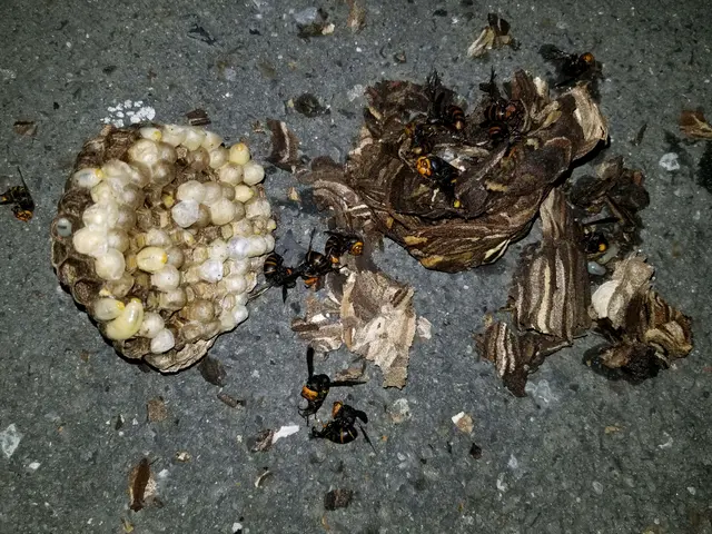 【豊富な経験・実績あり】損害保険加入済み◎営業時間外・対応地域外でもご要望可能！サービスの画像