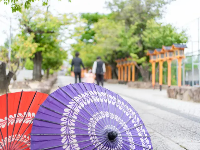 【　七五三フォト　】ご家族の大切な節目、思い出に残るお手伝いをさせてください！