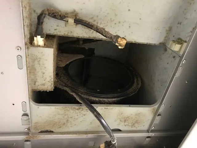 大手で作業をしているプロの手を低価額でご利用いただけます♪サービスの画像