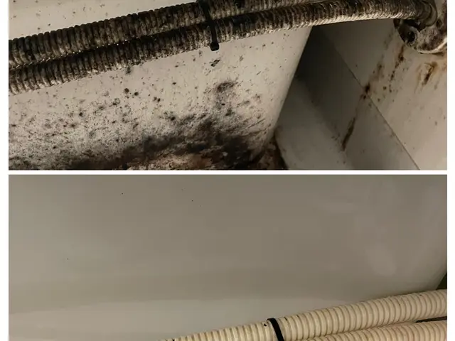 【女性スタッフが訪問！】大手での業務経験も豊富で安心◎ピカピカにします！サービスの画像