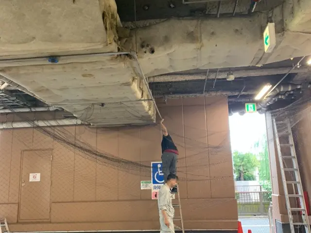 ベランダのフンの悩み、予算に合った対策までしっかり対応致します！サービスの画像