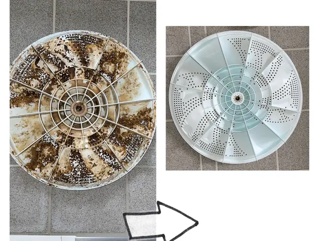 洗濯機【分解］クリーニングで洗濯機内部の　　カビ、汚れを徹底除去します！サービスの画像