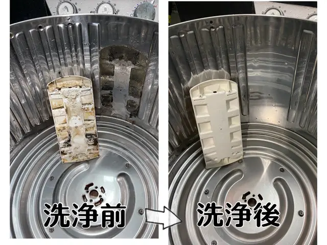 洗濯機【分解］クリーニングで洗濯機内部の　　カビ、汚れを徹底除去します！サービスの画像