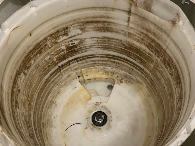 洗濯機【分解］クリーニングで洗濯機内部の　　カビ、汚れを徹底除去します！サービスの画像