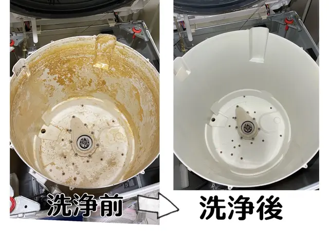 洗濯機【分解］クリーニングで洗濯機内部の　　カビ、汚れを徹底除去します！サービスの画像