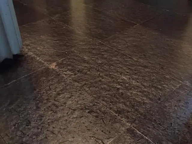 6/26予約可、フロアークリーニング。３０年の実積、一般家庭用、（事業所）サービスの画像