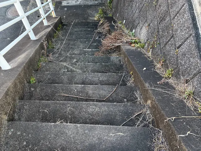 カーポート、ブロック塀、土間洗浄など外回りのお掃除はお任せください！サービスの画像