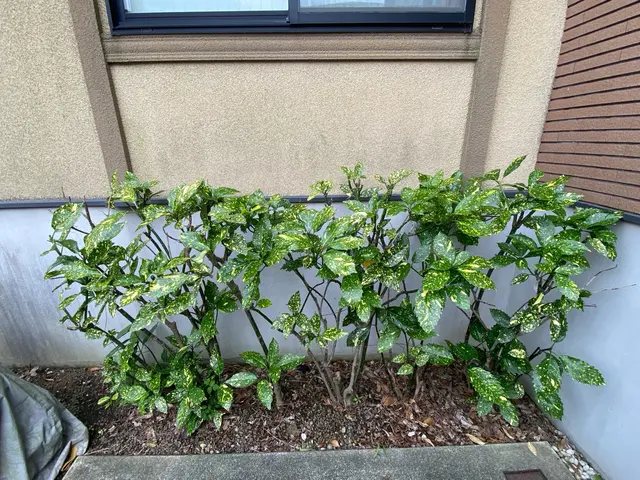 プロの技術でご満足いただけるように心を込めて作業いたしますサービスの画像