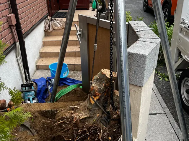 伐採作業、枝打、大木撤去、高所作業車自社所有、震災処理、一部伐採もお任せ下さい。サービスの画像