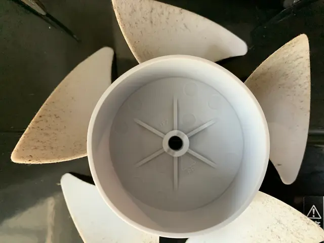 換気扇の頑固な油汚れはプロに任せた方が効率的ですよ！サービスの画像