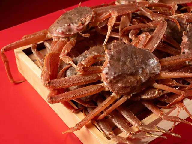 集客に直結する飲食店撮影｜プロ品質30カット◎