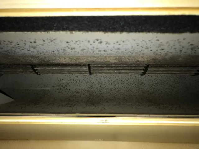 《沖縄県》エコ洗剤使用！作業後のアフターサービスも充実！損害保険加入済！サービスの画像