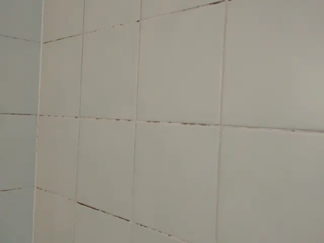 ◎創業6年◎　◆明るい浴室は疲れが吹き飛び！ご家族も大喜び！◆お得なセット割引！サービスの画像