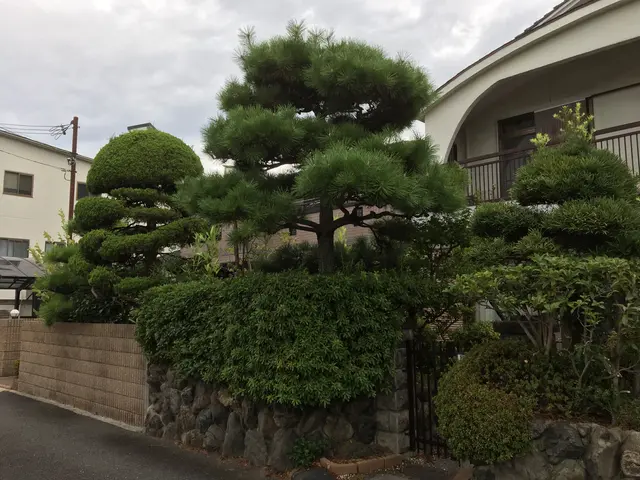 【職歴25年】親切・丁寧に対応いたします！安心の損害保険加入済み◎サービスの画像