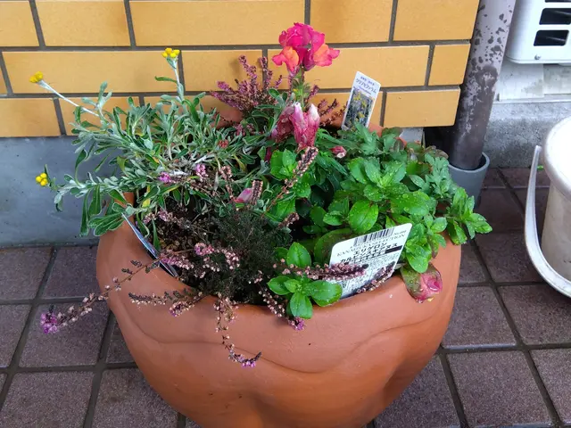 【女性スタッフの同行OK】業界歴16年の経験実績★駐車代は当店が負担します！サービスの画像