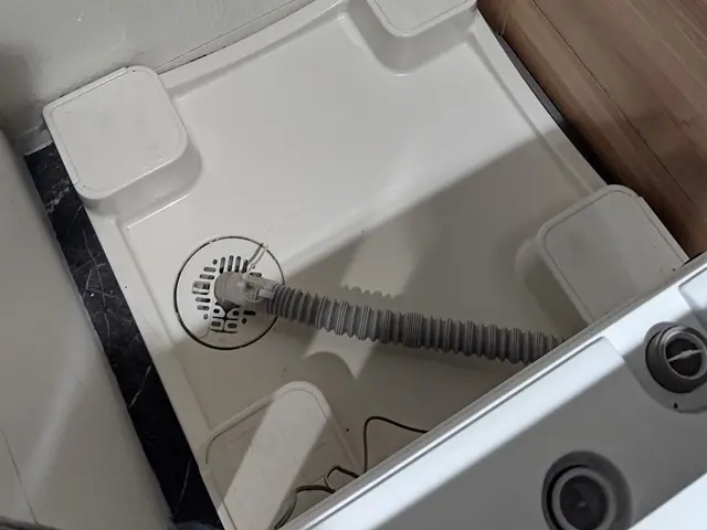 洗濯機クリーニング、ご依頼お待ちしております！！サービスの画像