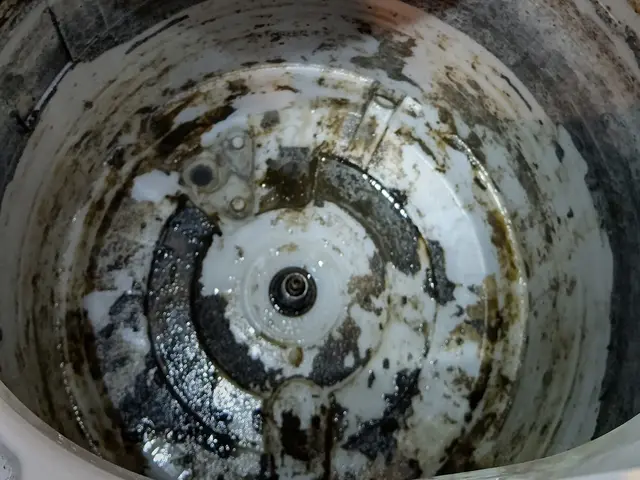 洗濯機クリーニング、ご依頼お待ちしております！！サービスの画像