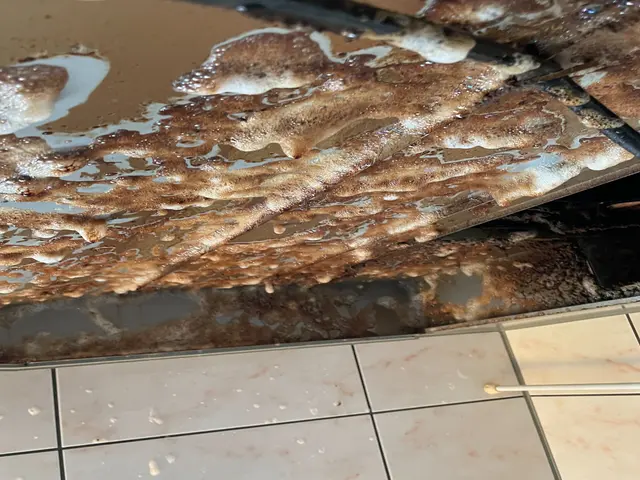 快適空間をお届け致します！お水周りの大変なお掃除お任せ下さい♪サービスの画像