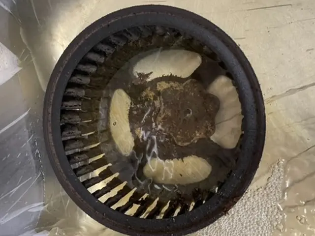 快適空間をお届け致します！お水周りの大変なお掃除お任せ下さい♪サービスの画像