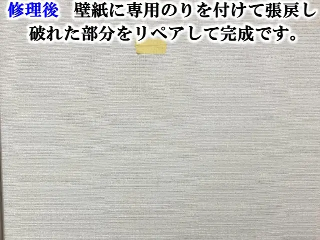 【建設・建築の業界人が選ぶ職人】大きな壁穴　たくさんの壁穴　がっちり綺麗に美再生サービスの画像