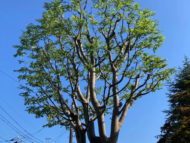 即レス即対応！造園施工管理技士が住宅から公共事業まで多数実績で安心サービスの画像