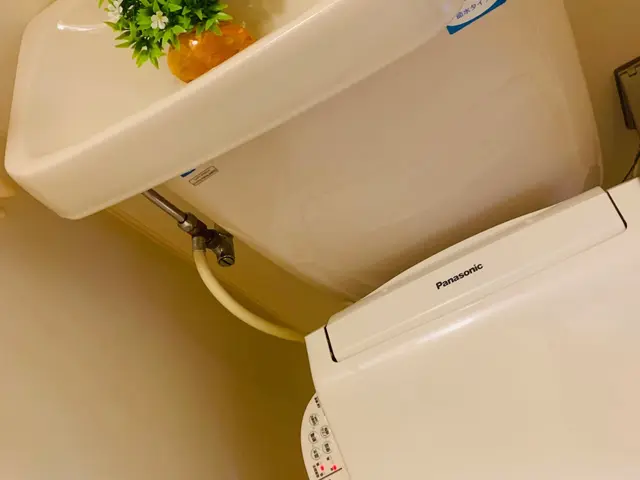 便器隙間や見えない所まで分解洗浄、タンクの中も清潔に！女性スタッフ同行可能！サービスの画像