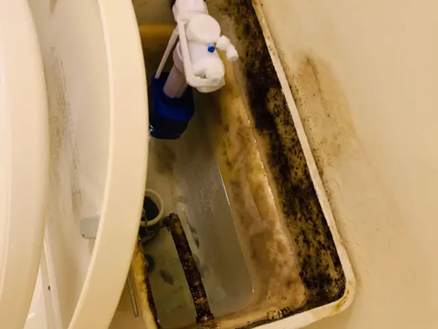 便器隙間や見えない所まで分解洗浄、タンクの中も清潔に！女性スタッフ同行可能！サービスの画像