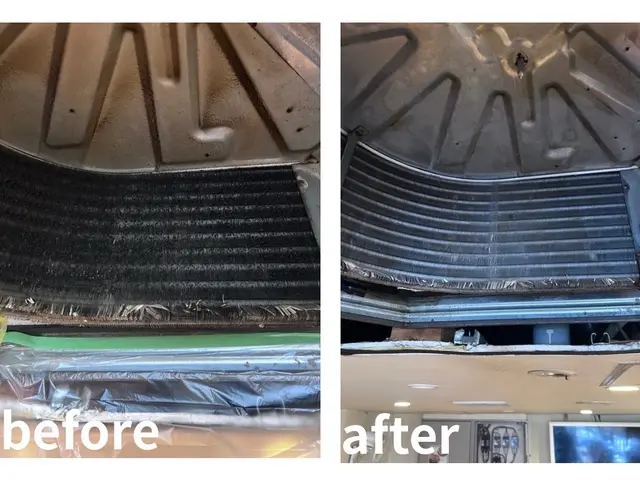 【経験27年の実績】ペット赤ちゃんご安心ください消臭コート無料サービス♫サービスの画像