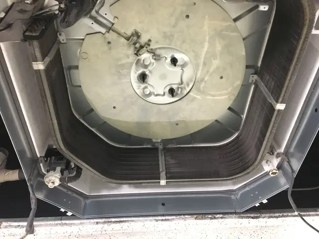 【経験27年の実績】ペット赤ちゃんご安心ください消臭コート無料サービス♫サービスの画像