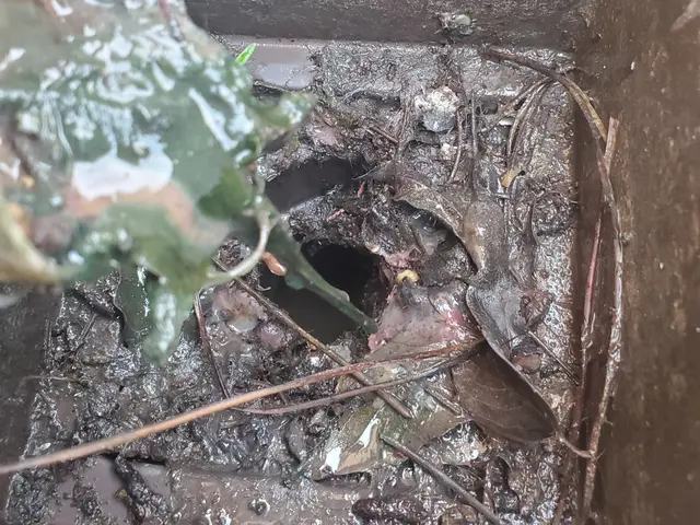 雨樋の詰まり、補修、工事、雨樋の事ならお任せ下さい。現状の状態考慮して作業しますサービスの画像