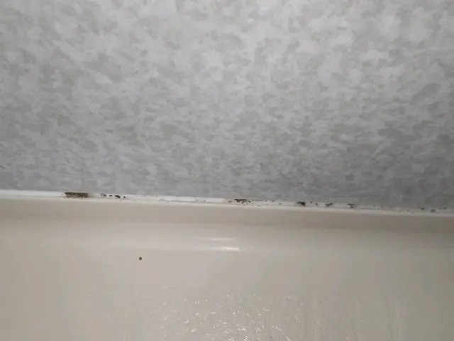 エプロン内高圧洗浄サービス。風呂釜配管洗浄セットは1万円お得な24,000円!!サービスの画像