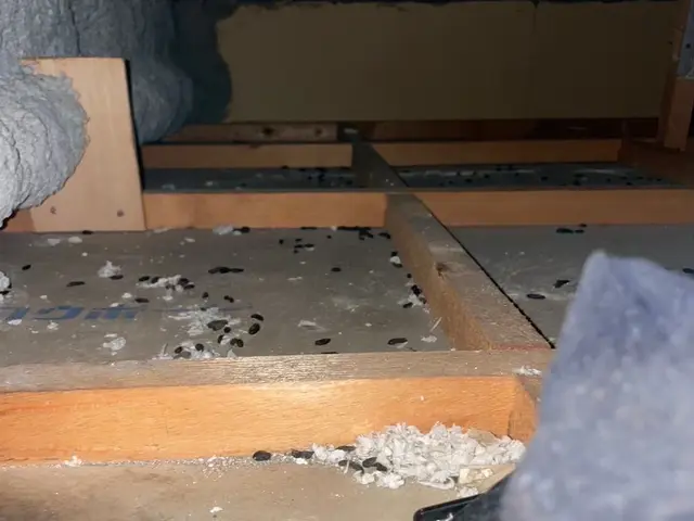 経験値豊富なスタッフが作業を行います。サービスの画像