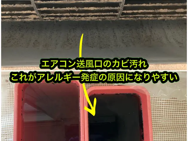 【安さより安心とお考えの方必見】丁寧な対応と作業にこだわったプロのクリーニングサービスの画像