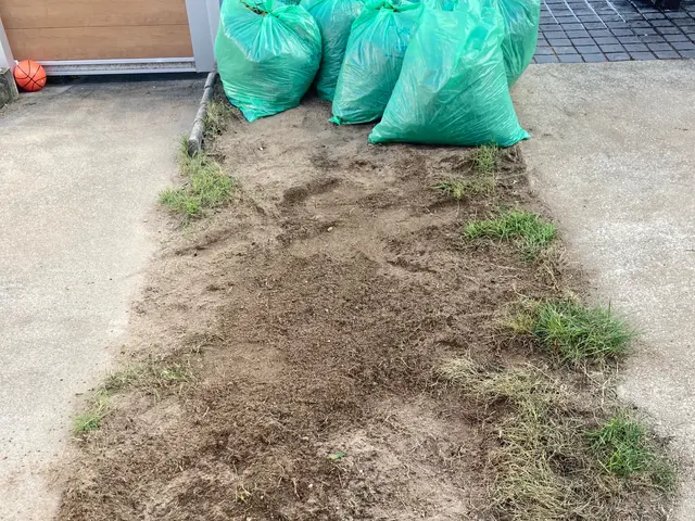 草むしりのプロです！お客様不在作業可能！細かな草〜ジャングルでもお任せください！サービスの画像