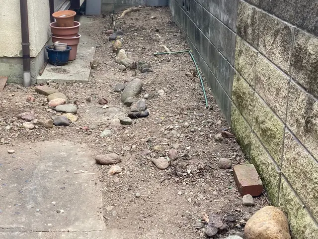 草むしりのプロです！お客様不在作業可能！細かな草〜ジャングルでもお任せください！サービスの画像