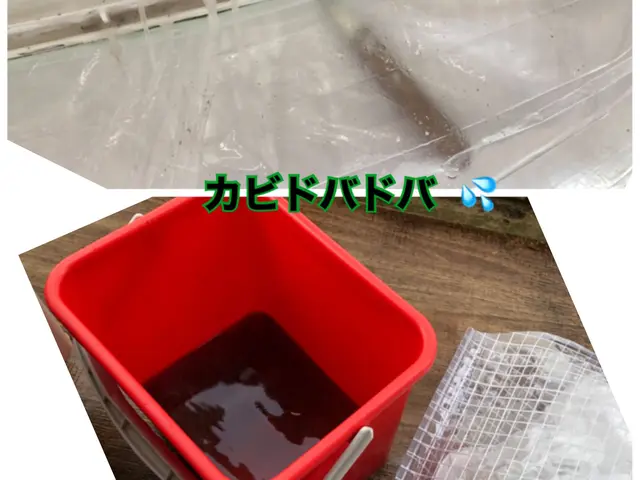 【除菌してから入退室します】お子様やペットも安心な洗剤使用！キャッシュレスOK!サービスの画像