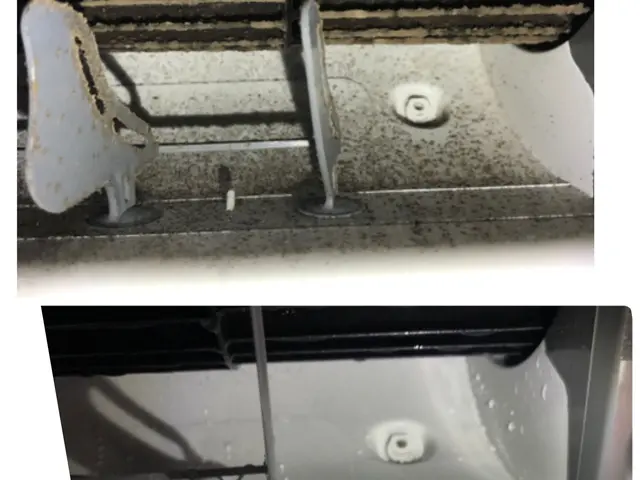 【除菌してから入退室します】お子様やペットも安心な洗剤使用！キャッシュレスOK!サービスの画像