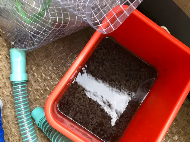 【除菌してから入退室します】お子様やペットも安心な洗剤使用！キャッシュレスOK!サービスの画像